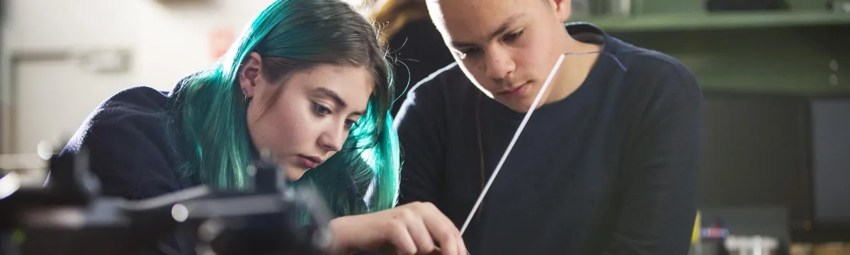 Bachelor degree courses